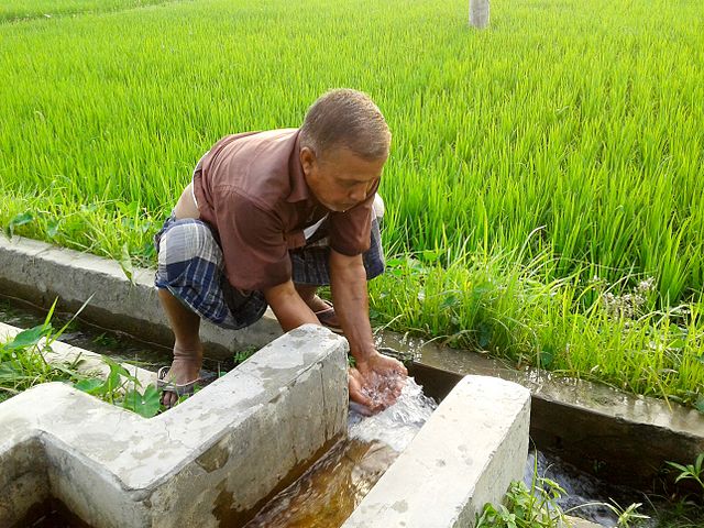 Farmer Drinking Water from Deep Pump, Bangladesh (2017).