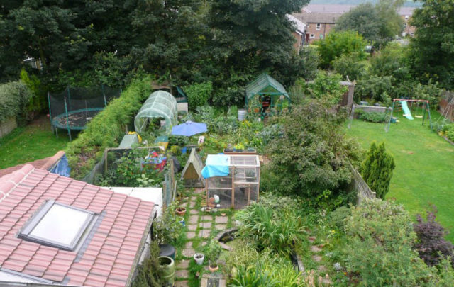 permaculture garden