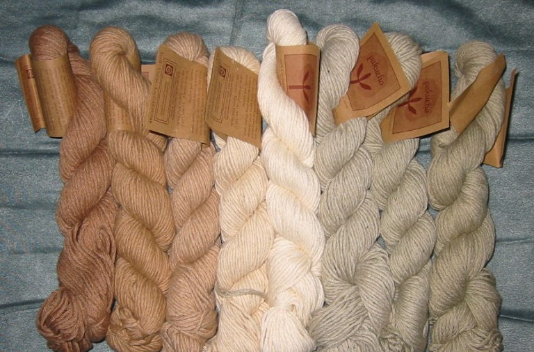 Organic cotton yarn