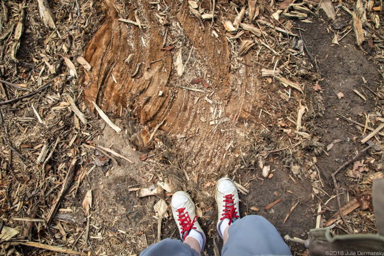 Bayou Bridge pipiline damage
