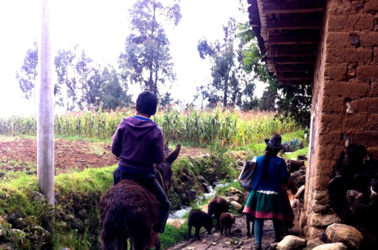 Small-scale farmers buen vivir