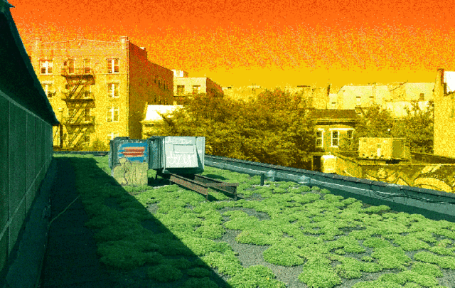 Green roofs graphic