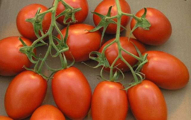 Roma tomatoes