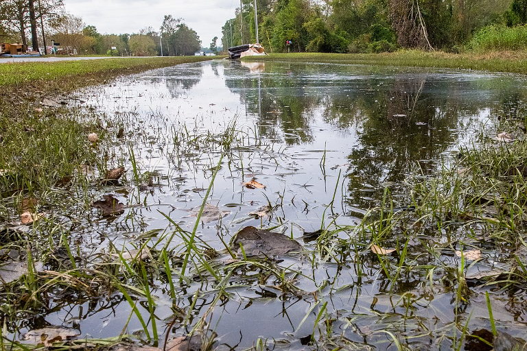 Flooded NC field