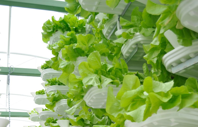 Vertical farming