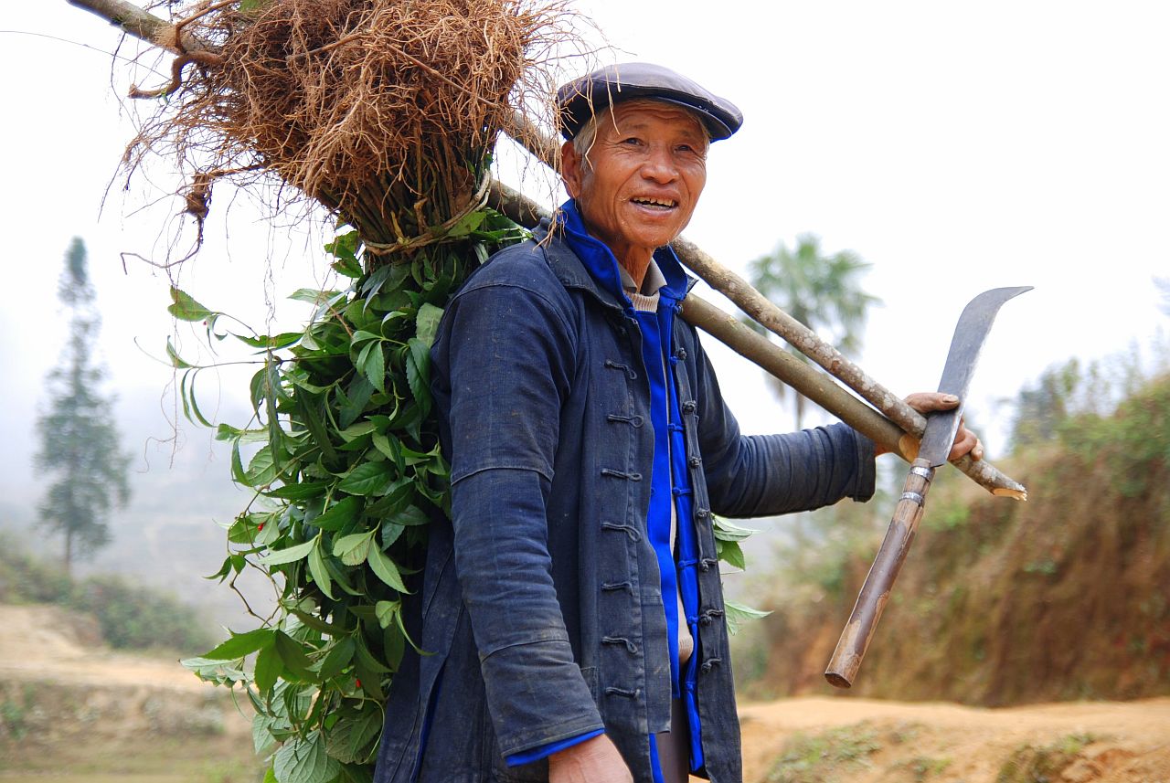 Chinese farmer