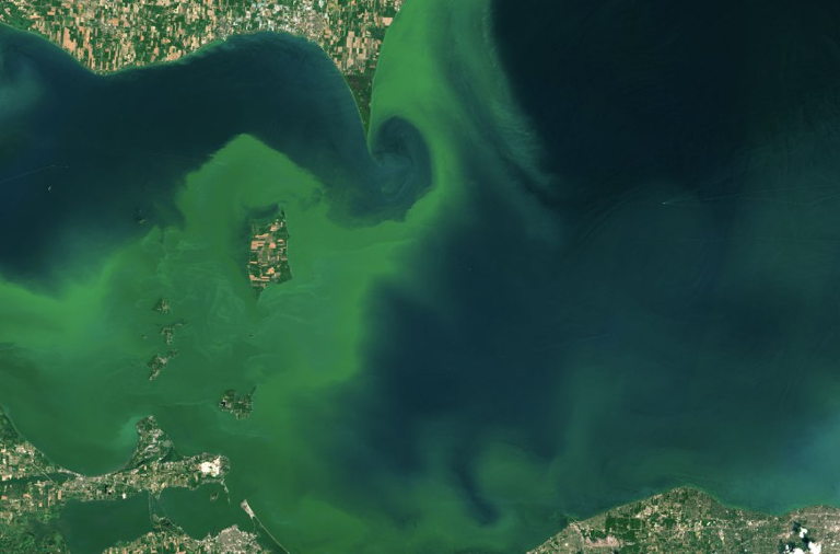 Lake Erie algae
