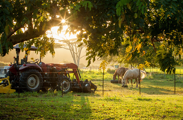 Tractor and horses