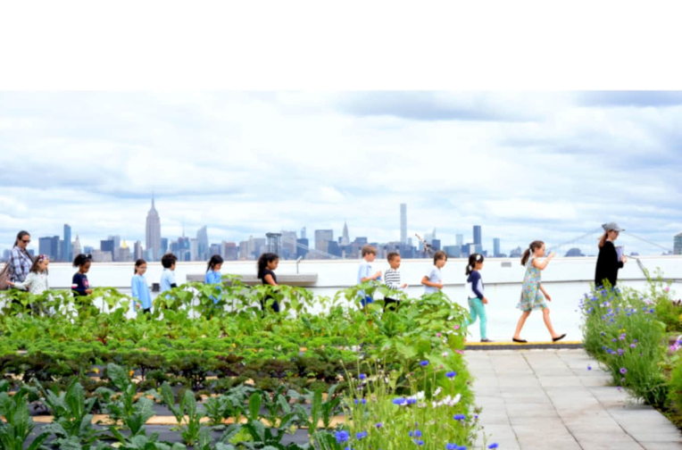 Urban farming and education