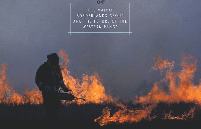 Working Wilderness cover