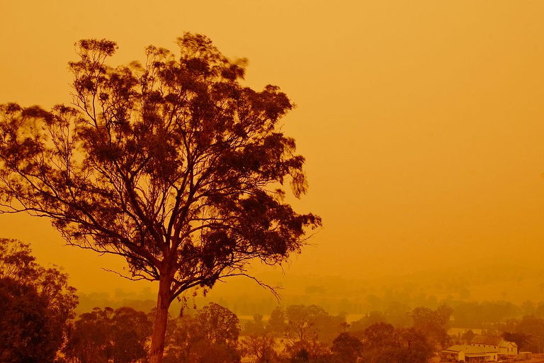Australian bushfires