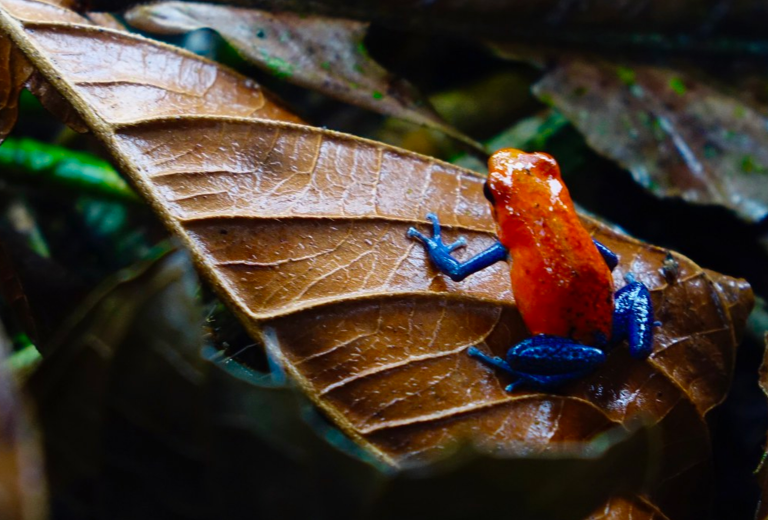 Rajesh Pamnani via Flickr, CC BY-NC-ND 2.0 license