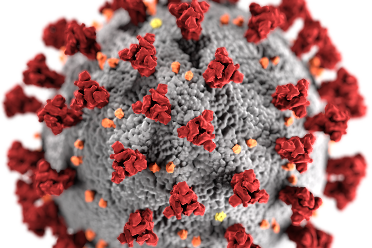 Covid-19 virus