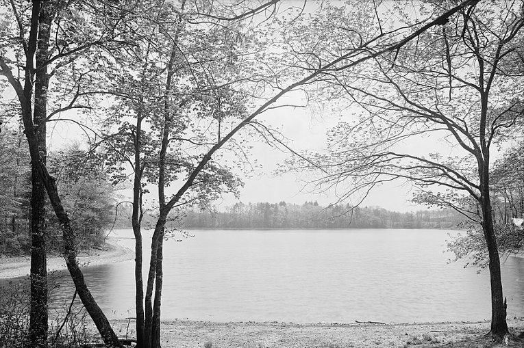 Walden Pond