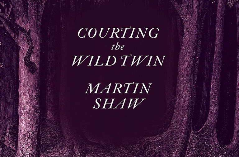 Courting the Wild Twin cover