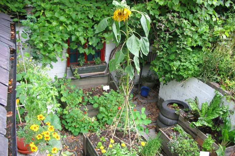 Garden at Centre for Alternative Technology