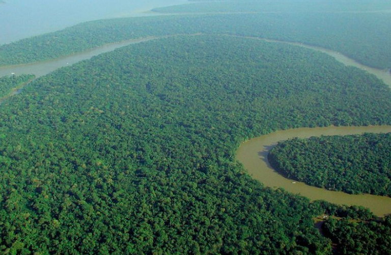 Amazon rainforest