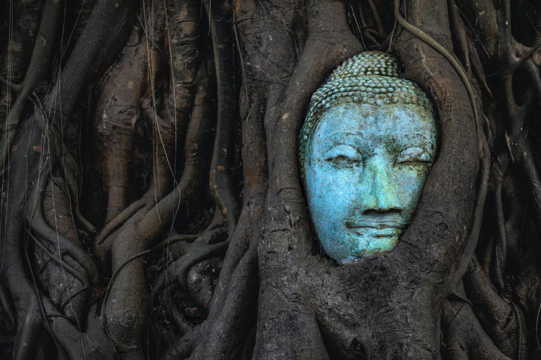 Tree Buddha