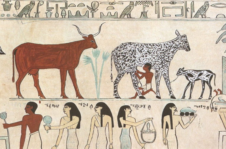 Egyptian agriculture