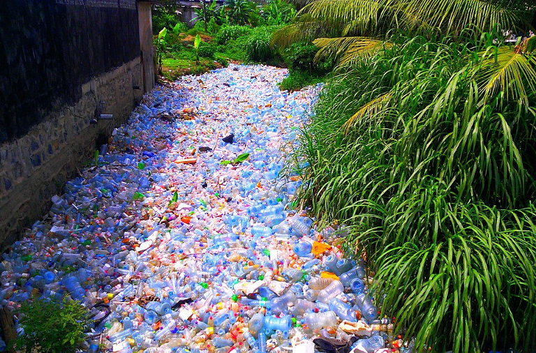 plastic pollution