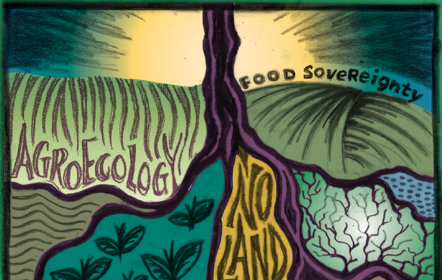 Roots of Resilience cover