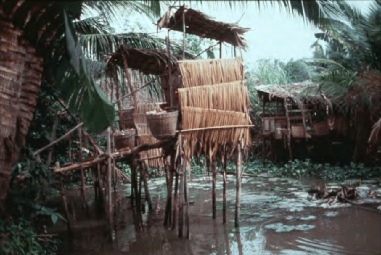 fish sewage treatment ponds