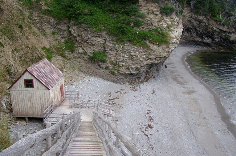 Reproduction of traditional salt cod fishery