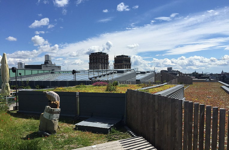 Urban rooftop garden