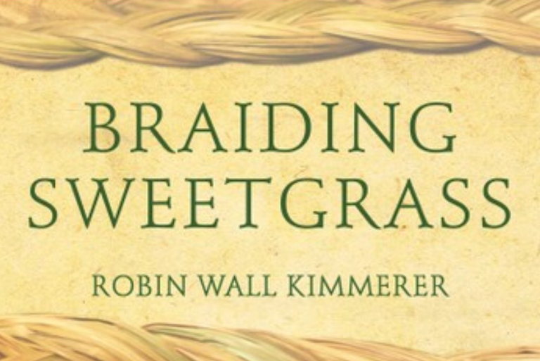 Braiding Sweetgrass cover