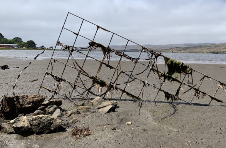 Christina Conklin art installation