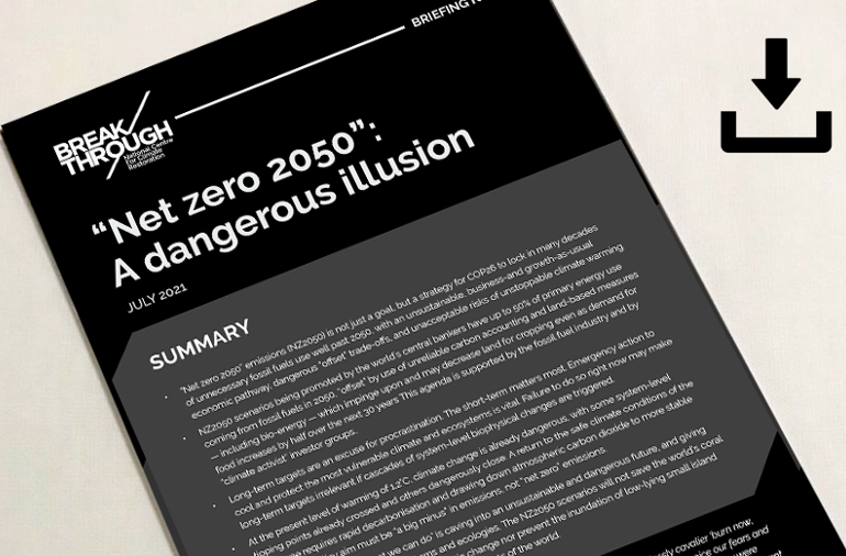 Netzero2050 report