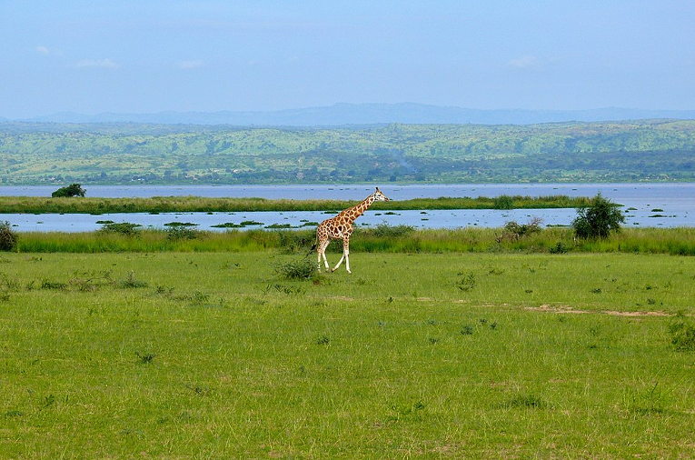 Albert Lake in Uganda