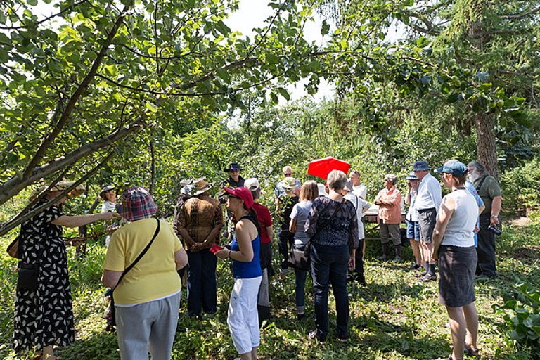 Community orchards
