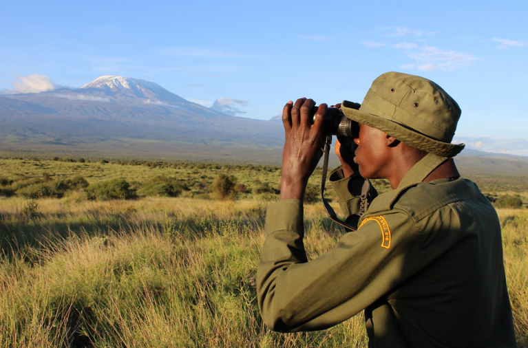 conservation strategies