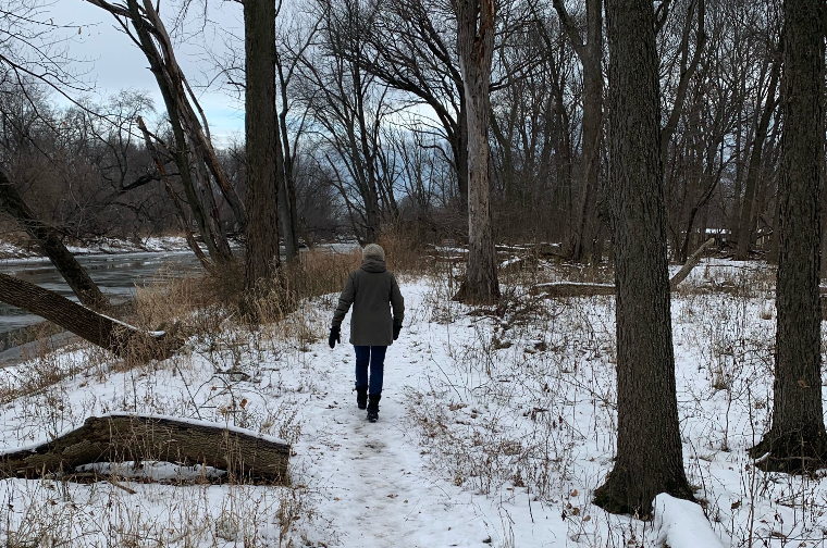 Walking in the woods