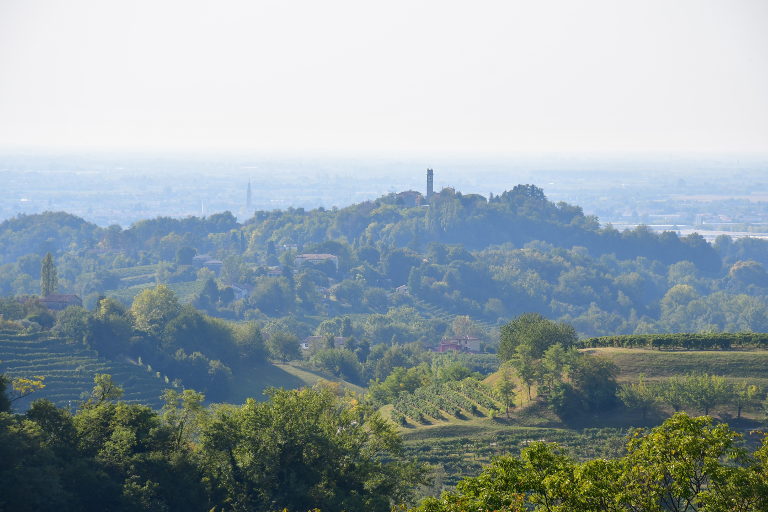 agroecological wine growing