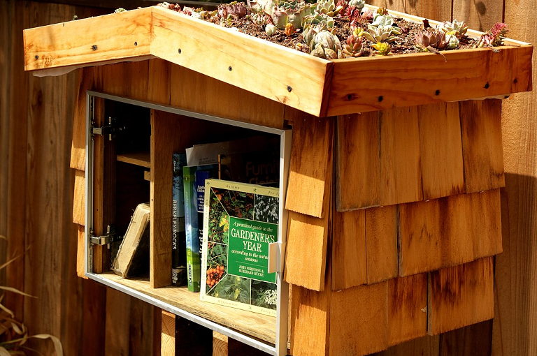 Little Free Library
