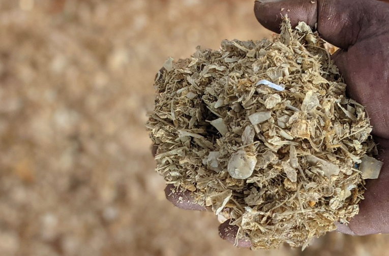 fish waste fertilizer