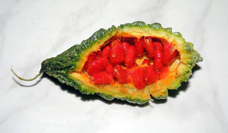 bitter melon