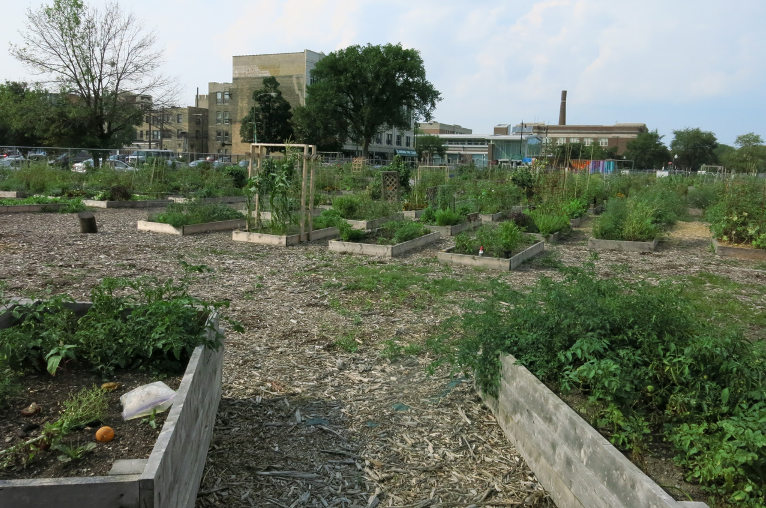 community garden