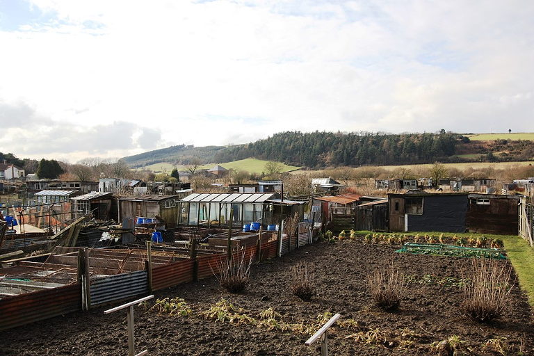 allotments