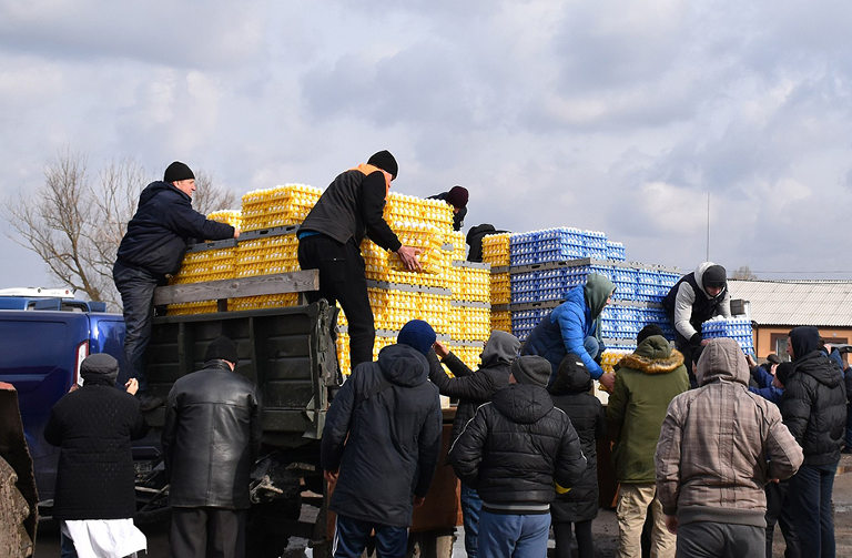 Eggs for Ukraine