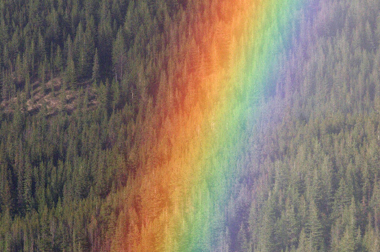 rainbow