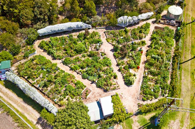 Community garden in Australia