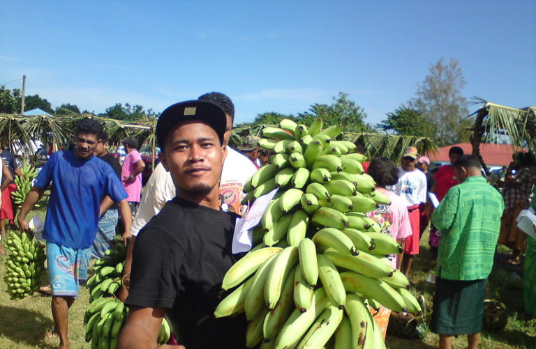 Samoan farming