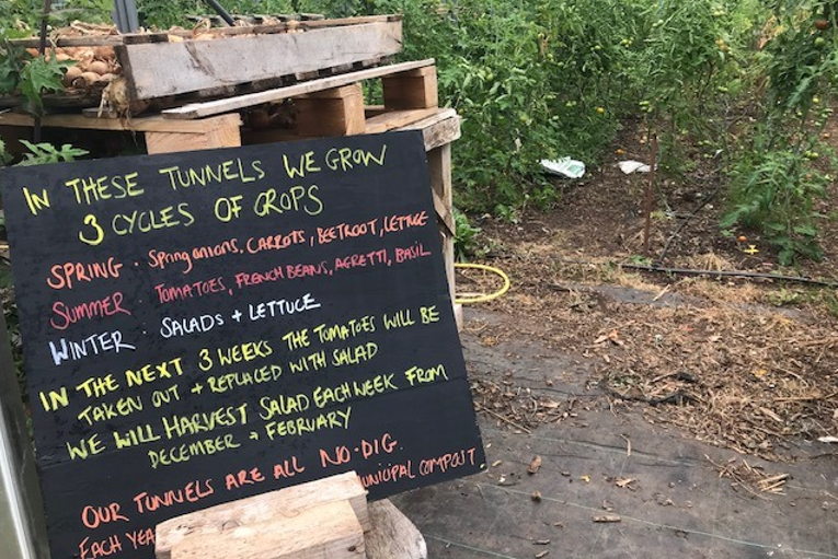 Sims Hill Shared Harvest CSA