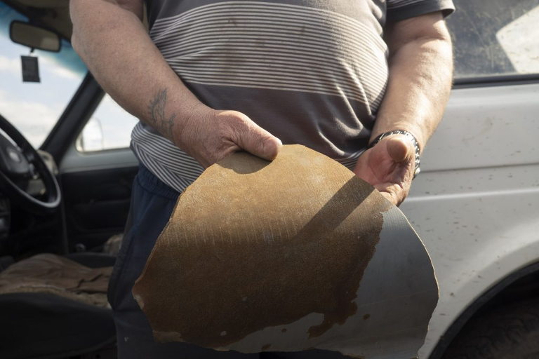 Ukraine cabbage farmer