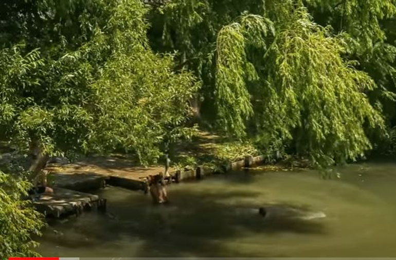 Local Futures Brazil