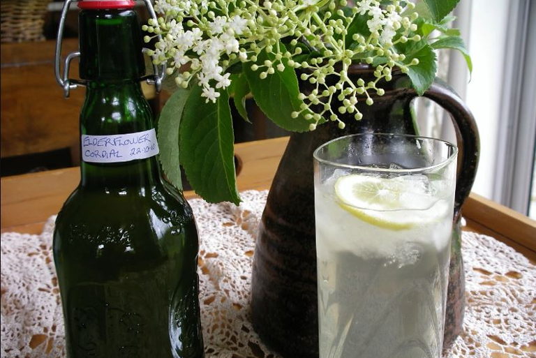elderflower