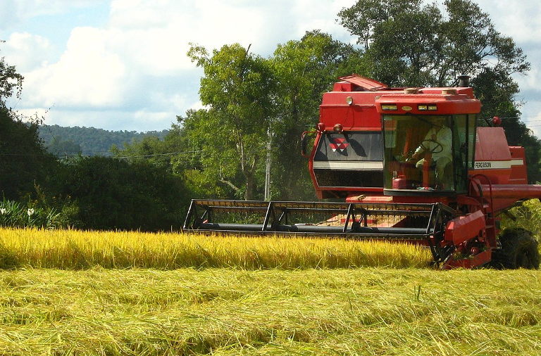 agriculture in Brazil